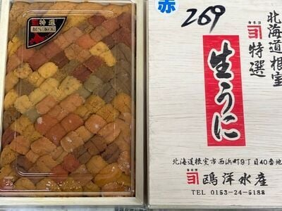 生ウニ赤 B品バラ カネヨ 弁当箱 (1)
