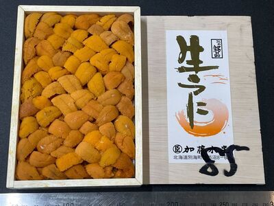 生ウニ(赤) 大弁当箱〈マル臣加藤水産〉Aバラ (1)