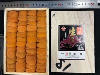 生ウニ(赤) 大弁当箱〈ヤマハ浜屋〉 横並び A品 (1)