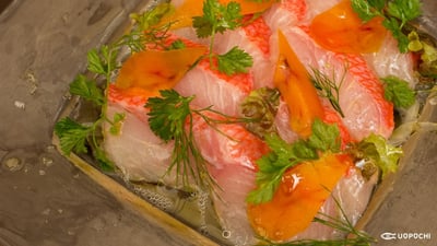 御前崎フェア限定メニュー紹介【Baru恵比寿】