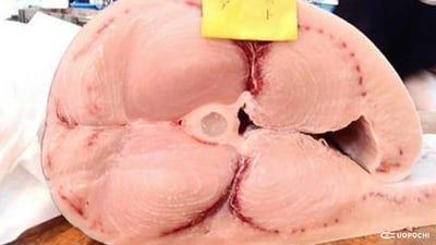 どんな調理も OK！万能魚「メカジキ」