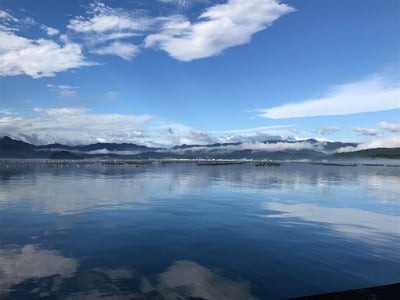 ゼロからマーケットをつくり、海のスーパーフードを全国へ。「岩手アカモク生産協同組合」