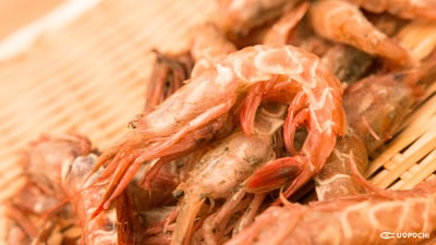 甘さの新境地！「ガサエビ」