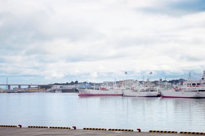 【三陸・常磐の水産加工品特集2021】三陸の海の幸を、アイデア豊かな一品に。「大弘水産」