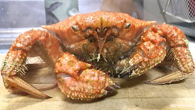 宮城気仙沼産クリガニ 420g