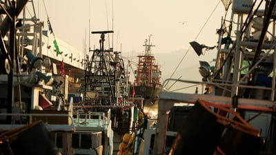 【三陸・常磐の水産加工品特集2022】伝統を大切に、カレイの新しい味わいに挑戦。「宮古マルエイ」