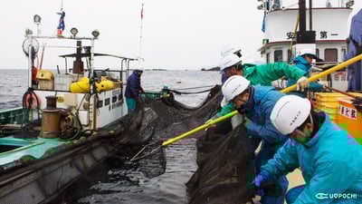【三重県紀北町】百年続く魚と人の暮らし