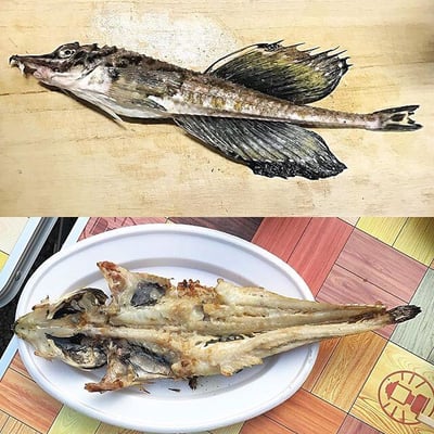 北海道十勝産ハッカク(トクビレ)