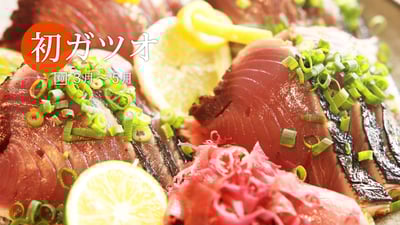 あっさりもっちり！古くから親しまれた旬の味「初ガツオ」