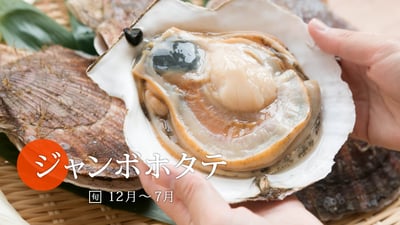 インパクト抜群の魚介！ジャンボホタテ