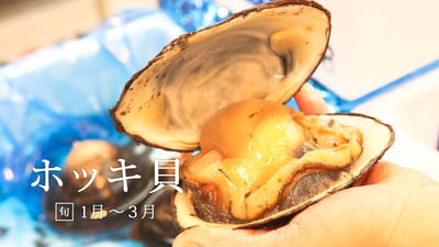 身がビッシリ！噴火湾長万部産「黒ホッキ」