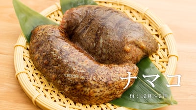 冬の定番居酒屋メニュー「ナマコ」の魅力