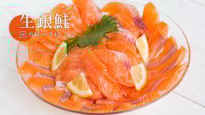 今が旬の国産養殖サーモン「生銀鮭」