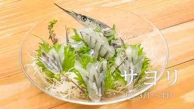 春のお造りにおすすめ！魚界の美人「サヨリ」