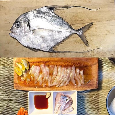 神奈川長井産イトヒキアジ