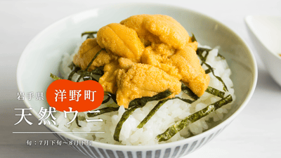 岩手県洋野町の“うに牧場”で獲れる、まるまる太った4年物の天然ウニ。