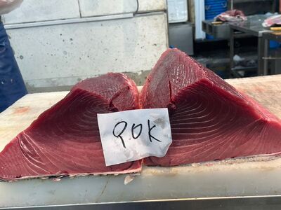 インドマグロ背中 (1)