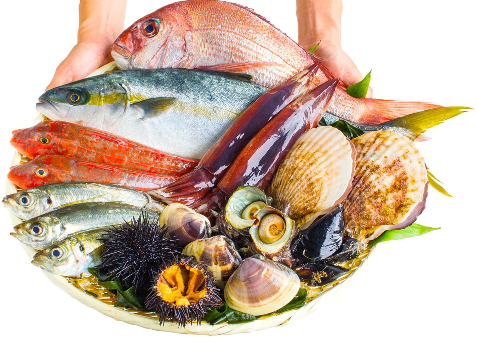 fish-platter-clip (1)